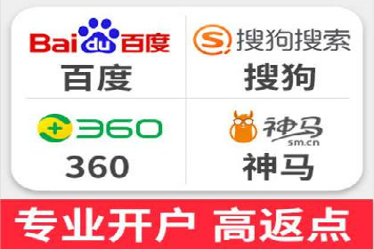 SEM代理案例：揭秘成功背后的秘密